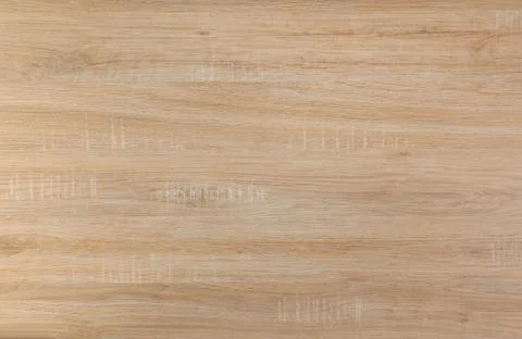 Birch wood Stock Photos