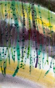 Birchwood Stock Illustration