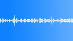 Birchwood, Singing Birds in the Birch Forest - ambient, denoised loop 01Sound Effect