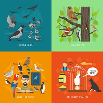 Bird 2x2 Images Concept Stock Illustration