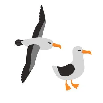 Bird Albatross Set Cartoon Vector Illustration Stock Illustration