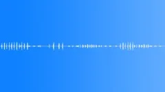 Bird ambience, close and distant birds, light windSound Effect
