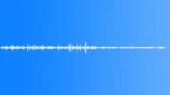Bird ambienceSound Effect