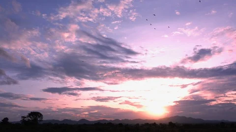 Bird and cloud moving and sun light 4K resolution video Stock Footage 97623137
