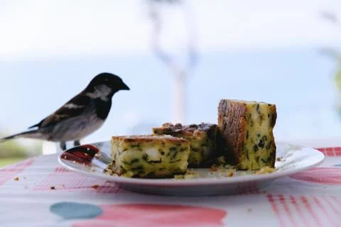 Bird and corn bread Stock Photos