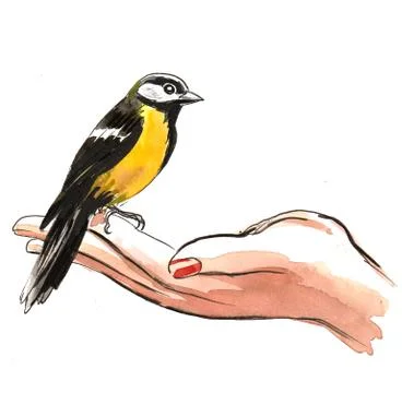 Bird and hand Stock Illustration