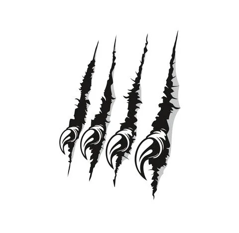 Bird, animal or monster sharp claw marks on paper Stock Illustration