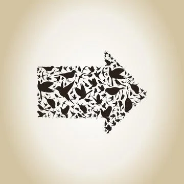 Bird arrow Stock Photos