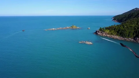 Bird attack the drone Stock Footage 79200073