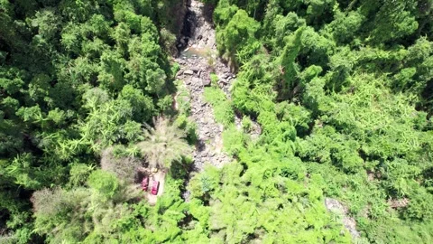 The bird attacked the drone damaging the camera Stock Footage 246385827