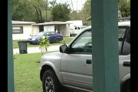 Bird Attacks HImself in Car Mirror Vídeo Stock 35888479