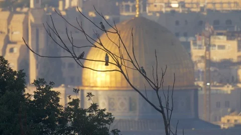 Bird on background of Dome of the rock Stockbeeldmateriaal 111198437