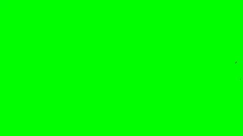 Bird background for screensaver moves Stock Footage 110911930