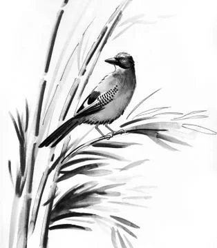 Bird in bamboo Stock Illustration