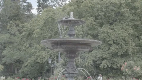 Bird Bath Stock Footage 244470046