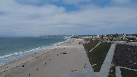 Bird on a beach 스톡 동영상 103103906