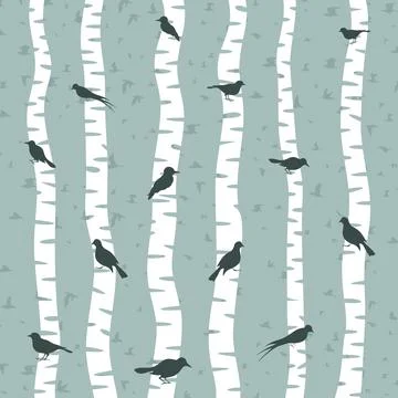 Bird on a birch Foto stock