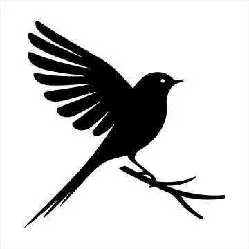 Bird black vector illustration isolated on white background Stock-Illustration