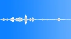 BIRD BLACKBIRD CALL04 Sound Effect