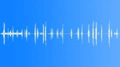 BIRD, BLACKBIRDSound Effect
