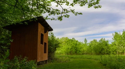 Bird Blind Time Lapse Video stock 50261091