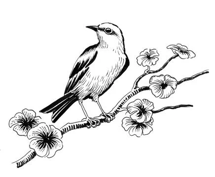 Bird on a blossoming tree Stock Illustration