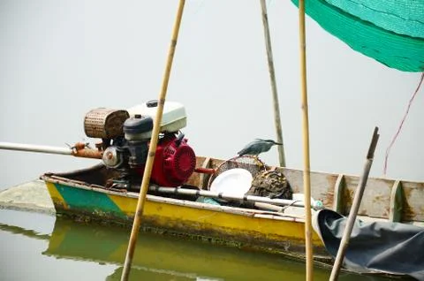 Bird on Boat Stock Photos