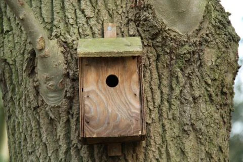 Bird Box. Foto stock