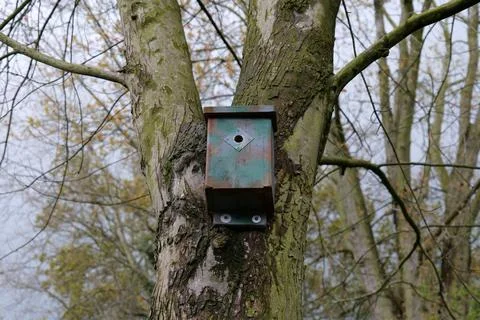 Bird box Stock Photos