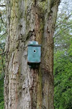 Bird box Stock Photos