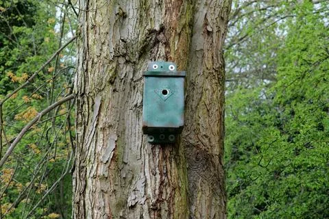 Bird box Stock Photos
