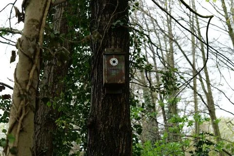 Bird box Stock Photos