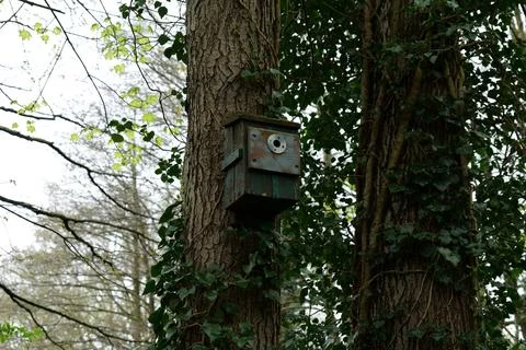 Bird box Stock Photos