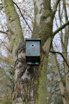 Bird box portrait Stock Photos