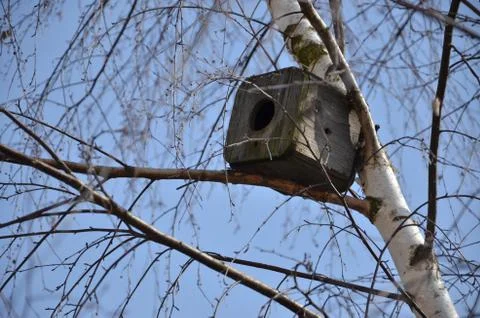 Bird box on the tree Stock Photos