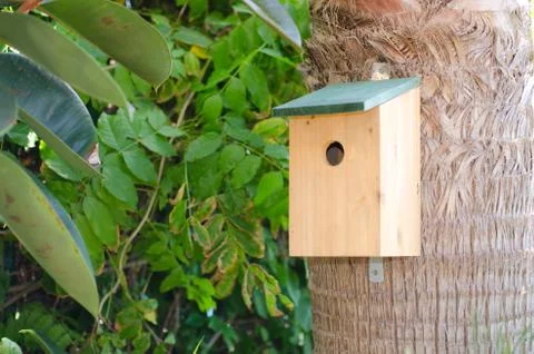 Bird box on the trunk of a tree Stock Photos