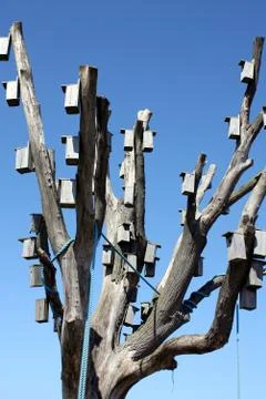 Bird boxes Stock Photos