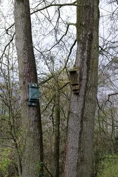 Bird Boxes Stock Photos