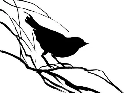 Bird on a branch Stock Illustration