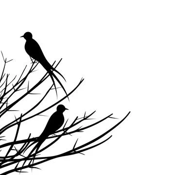Bird on a branch Stock Photos
