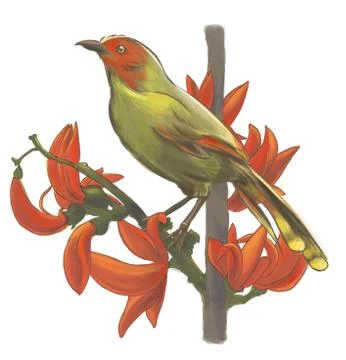 Bird on branches Illustrazione stock