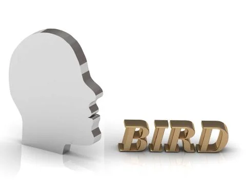 BIRD bright color letters and silver head mind on a white background Stock Illustration