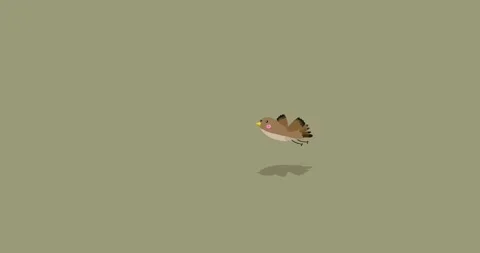 Bird brown character stop flight on light coffee background Stock Footage 317744009