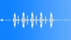 BIRD BROWN HONEY EATER CALL04 Sound Effect