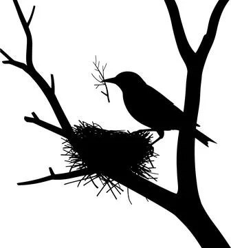 Bird Building Nest on Tree Branch Silhouette イラスト素材