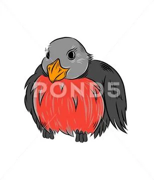 Bird bullfinch illustration isolated on white background. Stock Illustration