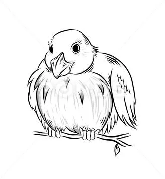 Bird bullfinch illustration isolated on white background. Stock Illustration