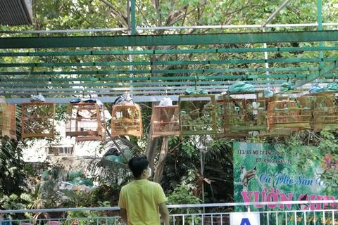 Bird Cafe Stock Photos