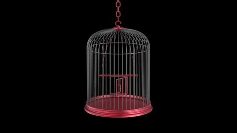 Bird cage on black background Stock Footage 337693242