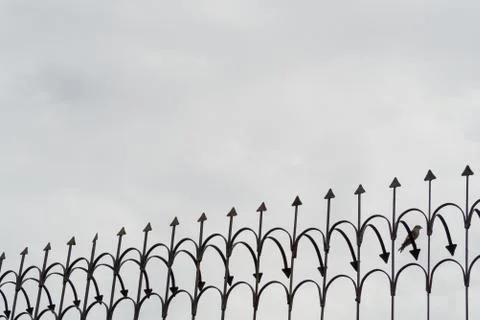 Bird cage on the day of the half. Stock Photos